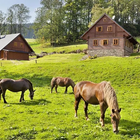 Roubena Lysecinky B Ferienhaus Horni Lyseciny