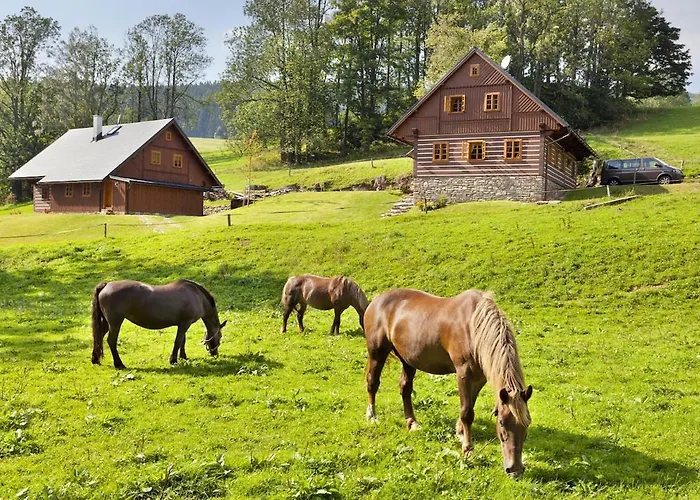 Roubena Lysecinky B 別荘 Horní Lysečiny